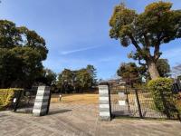 公園①