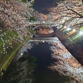松川の水面に映る桜はとても幻想的でした。