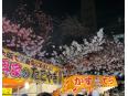 露店も沢山出ていました！