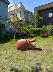 カバ