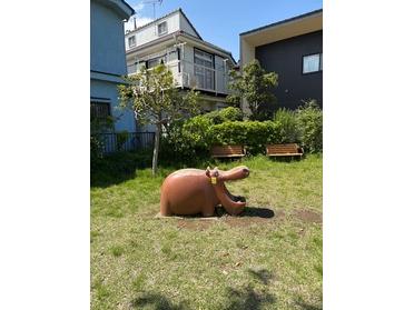 カバ