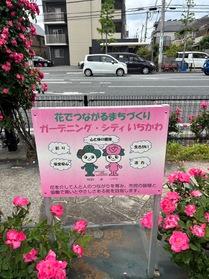 ガーデニングシティいちかわ