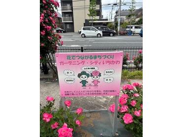 ガーデニングシティいちかわ