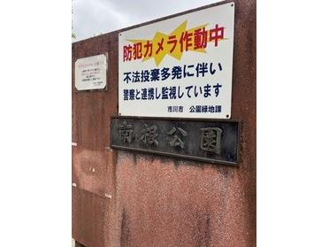 新着画像