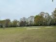 公園内
