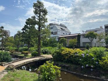 公園内
