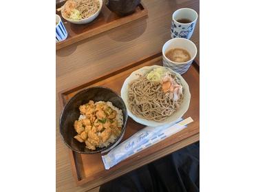 新着画像