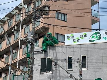 緑のゴリラが！