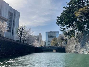 船上からの景色