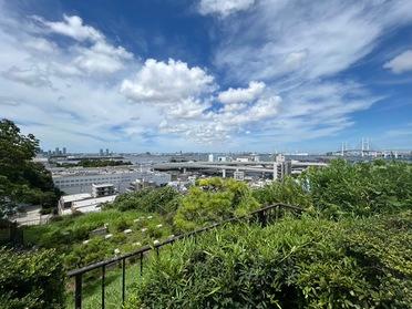 展望デッキからの景色