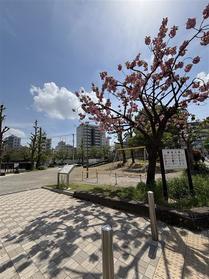 公園の入り口です！