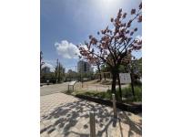 公園の入り口です！