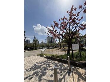 公園の入り口です！