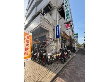 新着画像