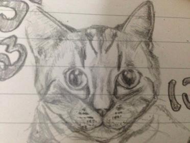 猫の絵