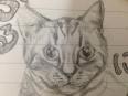 猫の絵