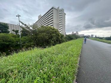多摩川土手