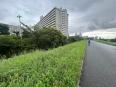 多摩川土手