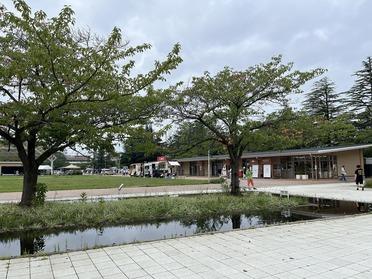 夏のお散歩に最適かも！