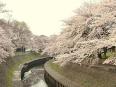 花見が有名な公園です！