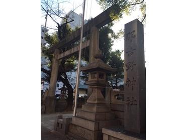 立派な鳥居です