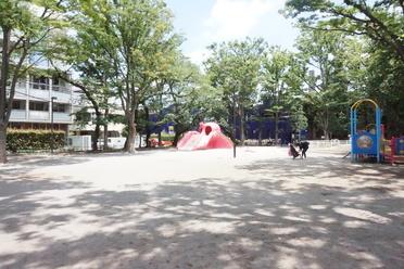 公園の全体図