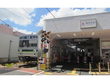 鵜の木駅と東急多摩川線