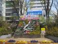 駅前広場の花時計　季節ごとにお花が変わります。