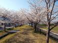 武庫川